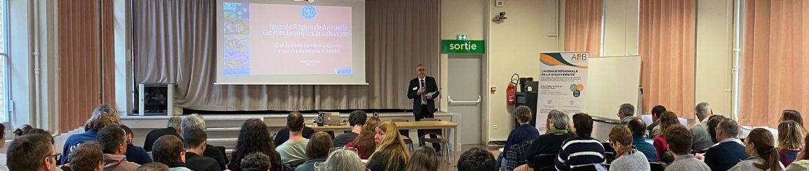 Image de l'Actualité