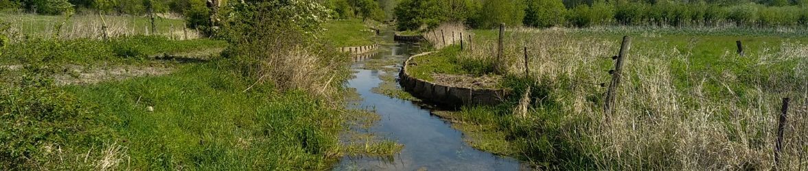 Image de l'Actualité