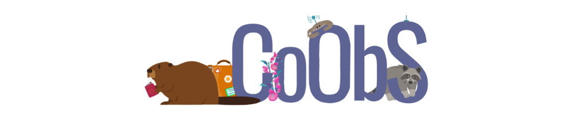 CoObS Micro projet INTERREG
