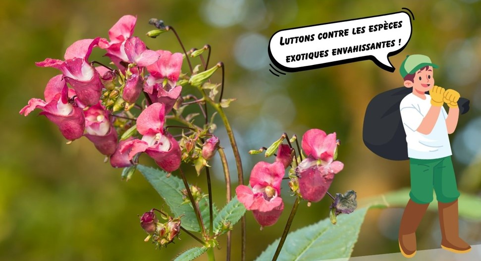 Image de l'Actualité