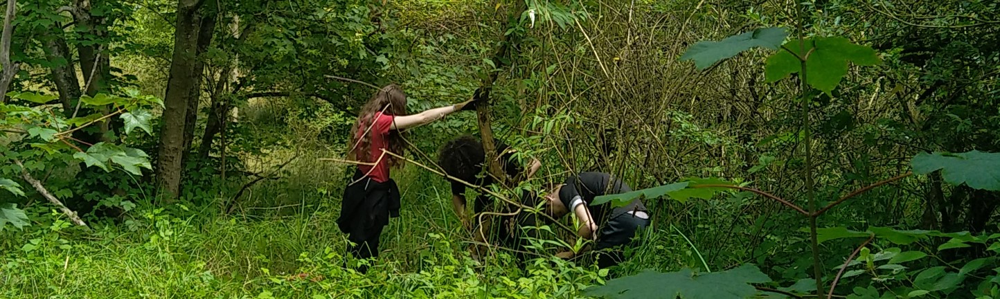Image de l'Actualité
